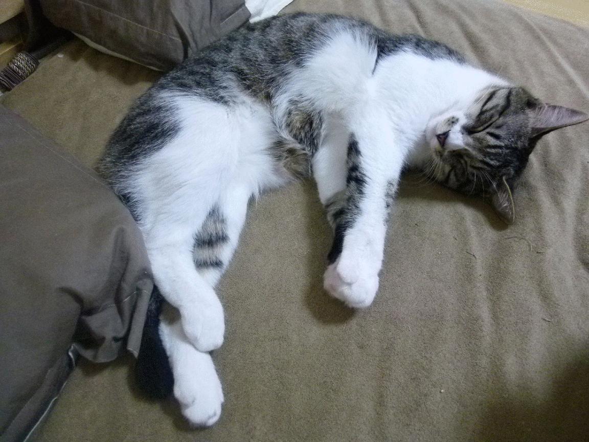 特雷·杨总决赛关键战，冷静致命，英雄本色